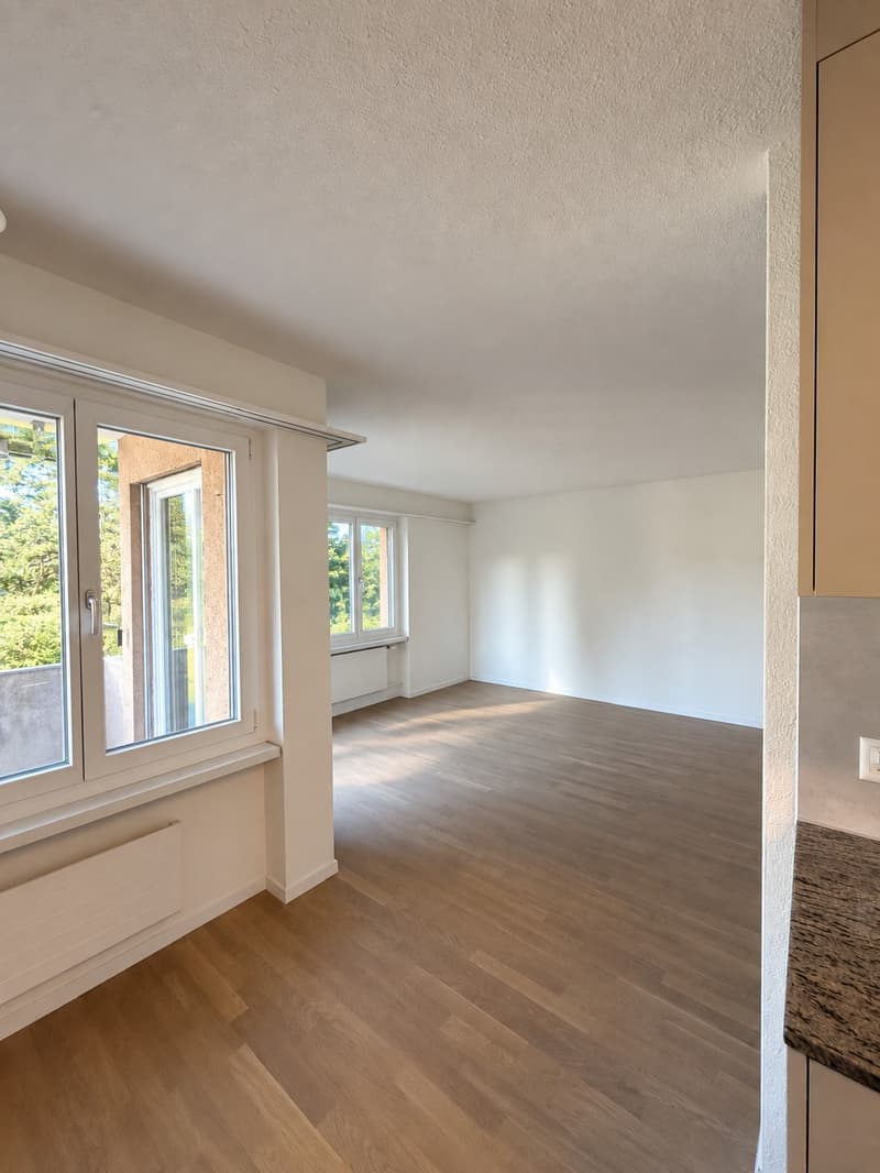 Ihr neues Zuhause 3.5 Zimmer, frisch saniert zum Einzug (3)