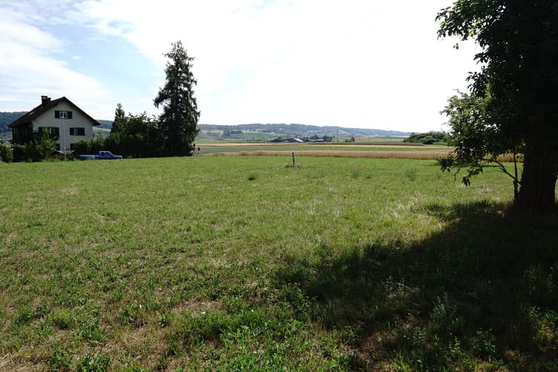 Von Süden Richtung Norden