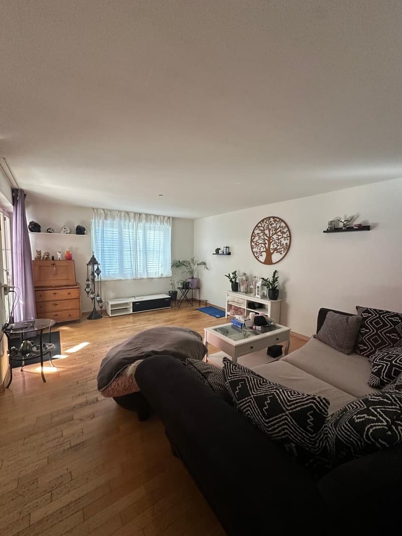 Helle 3.5-Zimmer-Wohnung in Siggenthal Station (4)