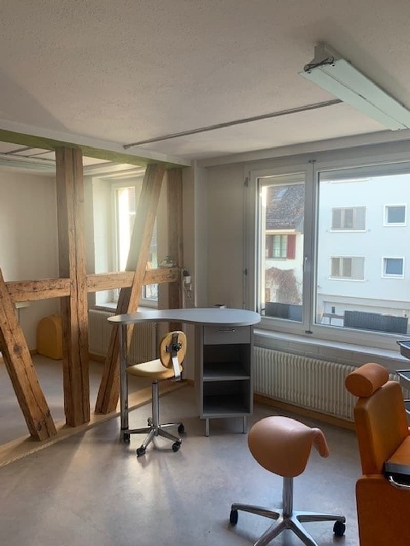 Gewerbe zu vermieten (9)