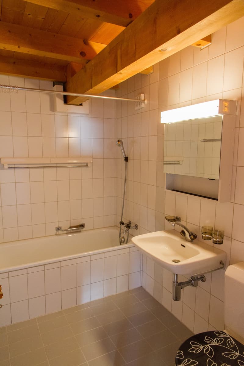 Wohnen wie im Einfamilienhaus (11)
