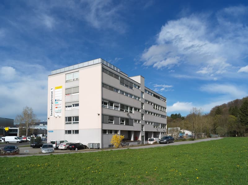 Gewerbe mit Aussicht in Unterengstringen (10)