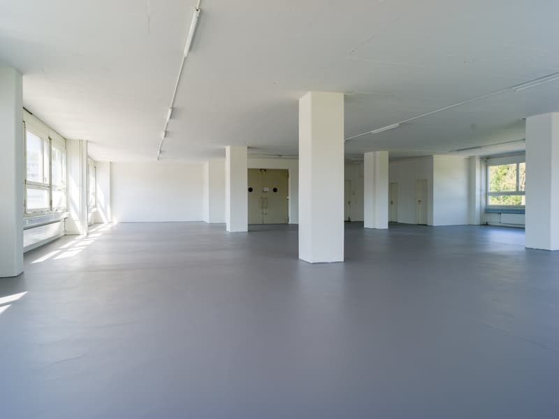 Gewerbe mit Aussicht in Unterengstringen (5)