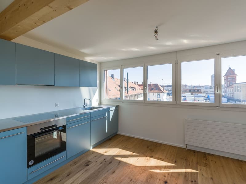 Erstvermietung attraktiver Dachwohnung in Zürich-Altstetten (2)