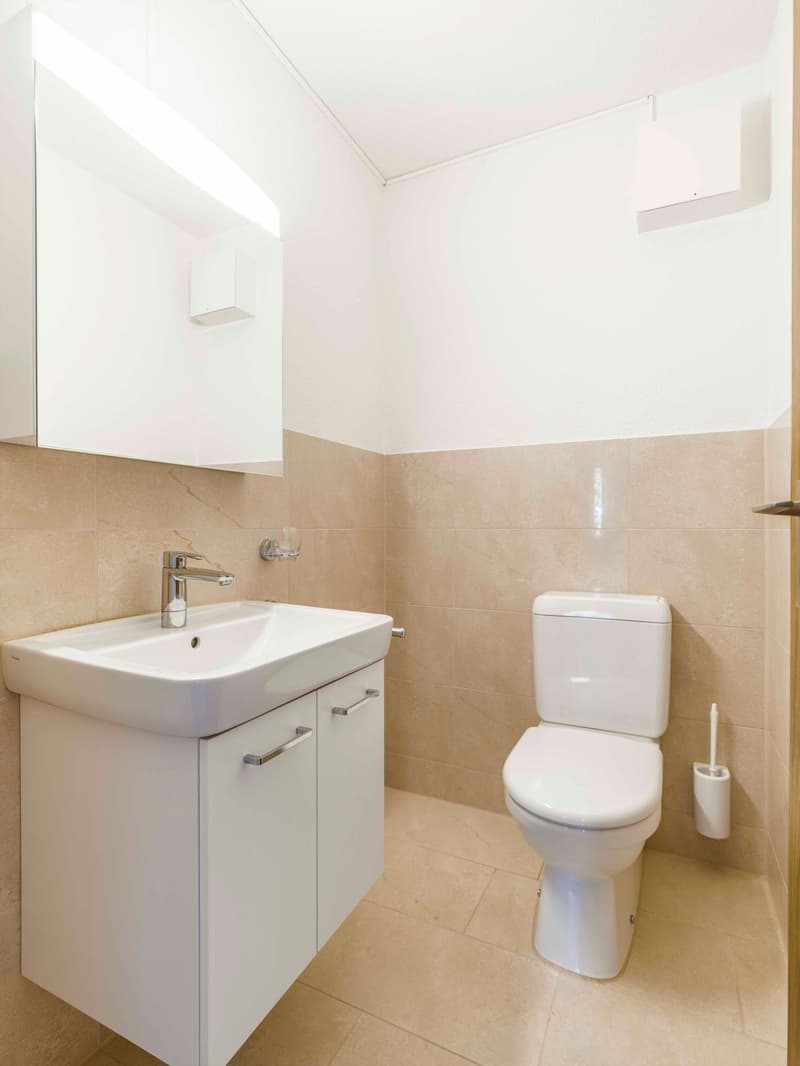 Charmante Wohnung mit schöner Aussicht (8)