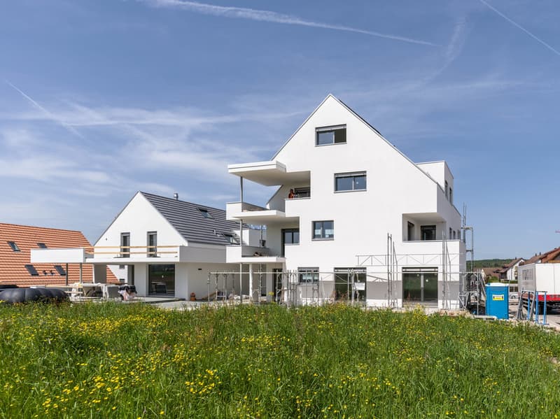 Modernes Wohnen am Dorfrand von Höri (1)