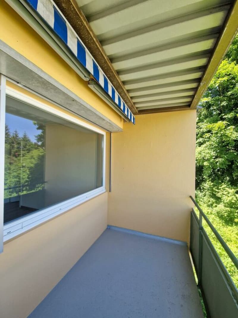 Preiswerte 4.5-Zimmerwohnung an ruhiger Wohnlage - im Grund 14c, 9012 St. Gallen (9)