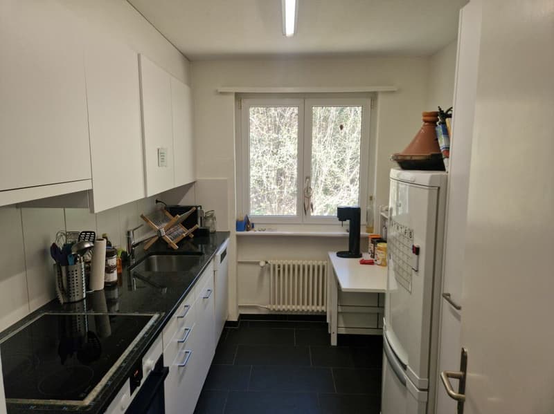 Preiswerte 4.5-Zimmerwohnung an ruhiger Wohnlage - im Grund 14c, 9012 St. Gallen (1)