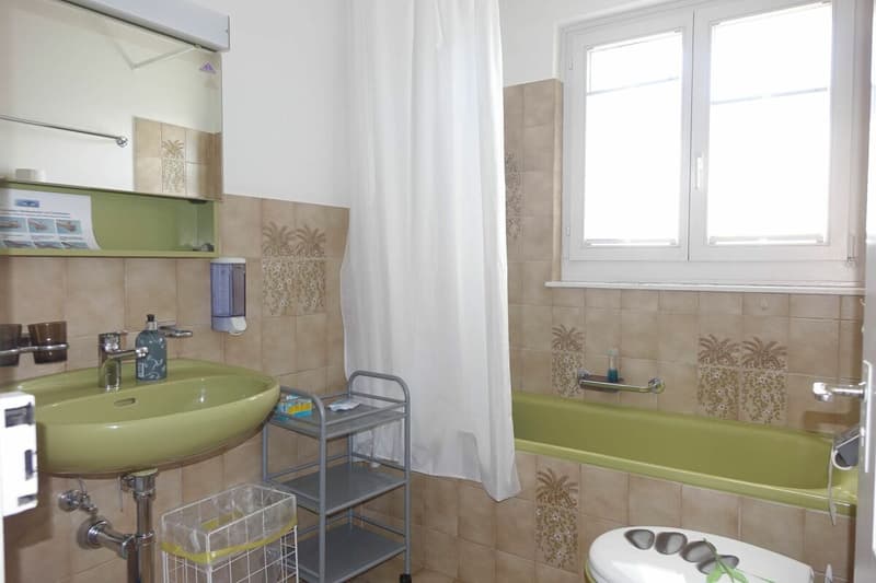 Gebäude inkl. Umgebung in Rohbaumiete (20)