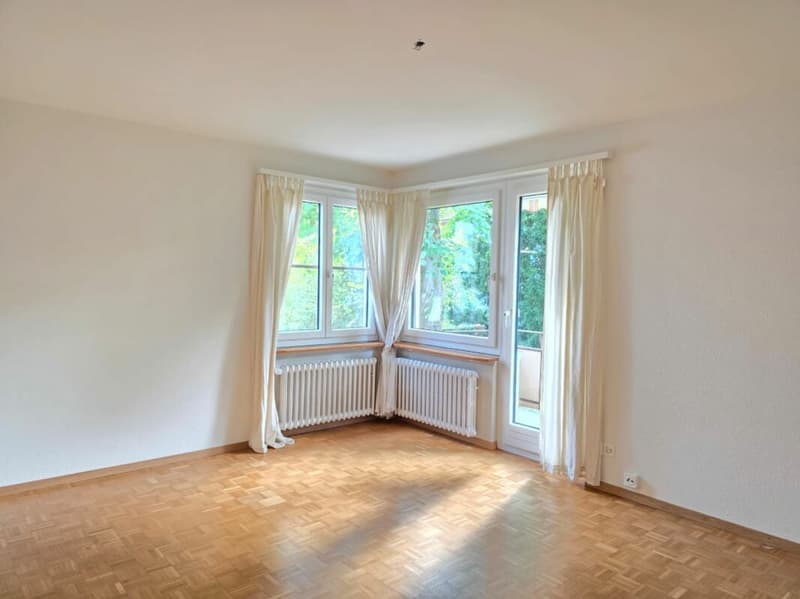 renovierte Wohnung mit Balkon an ruhiger Lage (5)