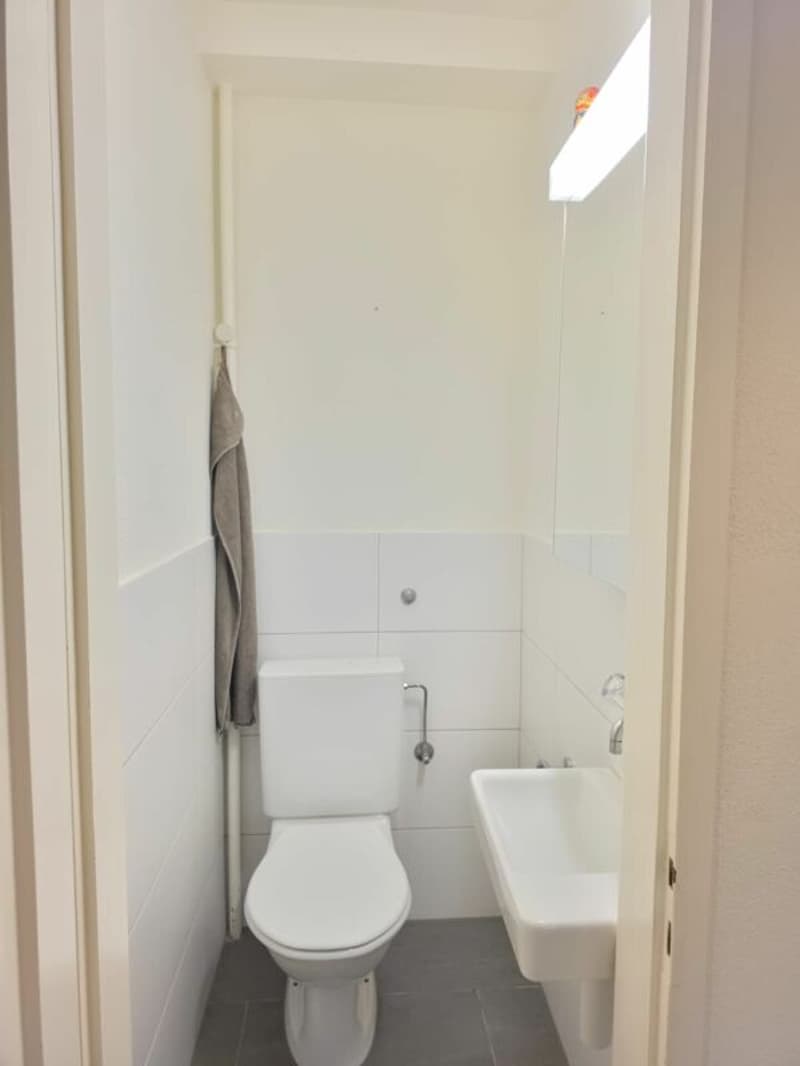 renovierte Wohnung mit Balkon an ruhiger Lage (4)