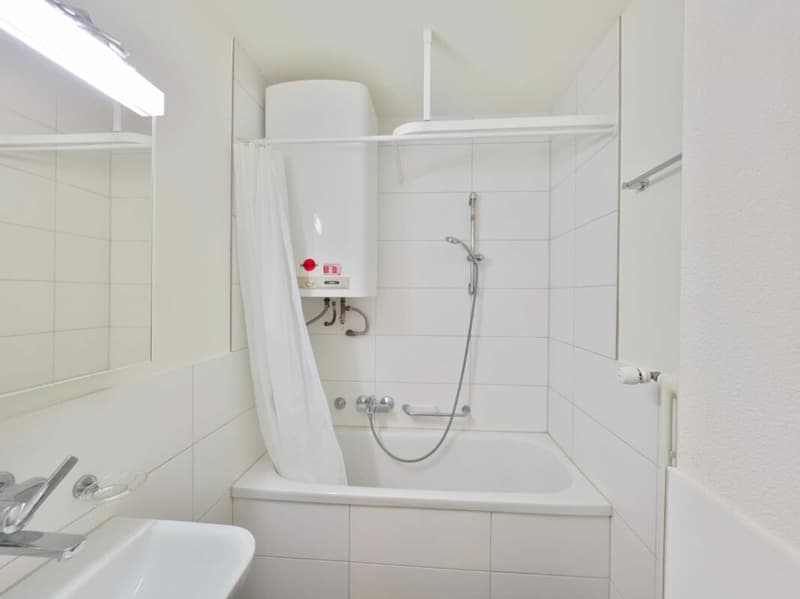renovierte Wohnung mit Balkon an ruhiger Lage (3)