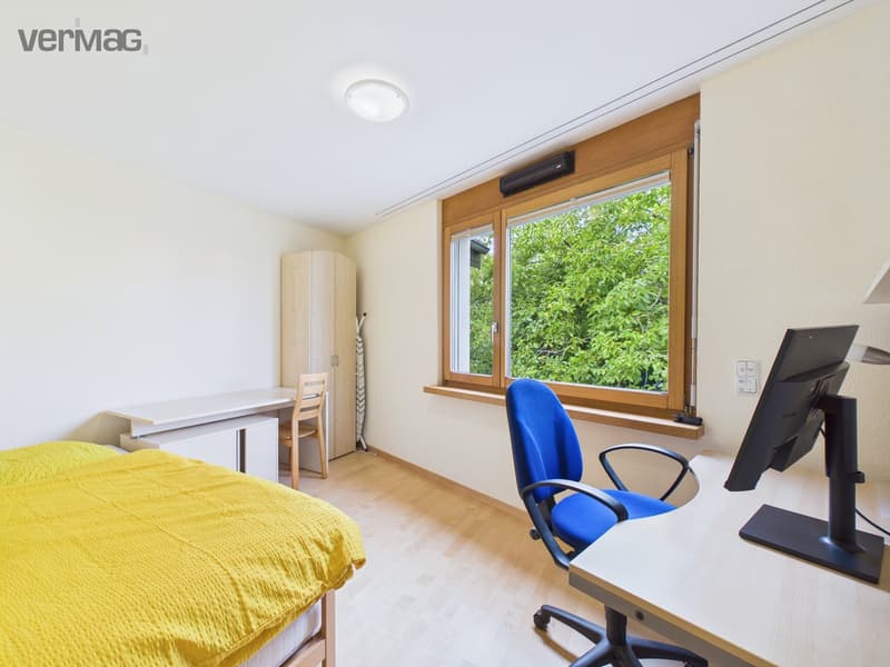 Schlafzimmer mit Ausziehbett / Büro