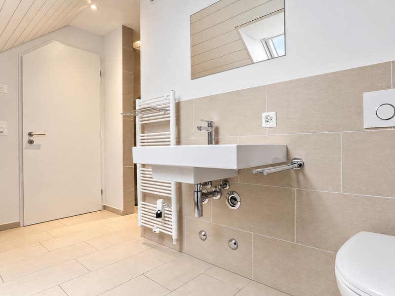 Badezimmer mit grosszügiger Dusche