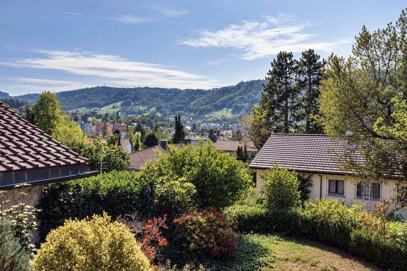 Zu verkaufen, Reihenfamilienhaus, 8134 Adliswil, Ref. 6214293 (1)