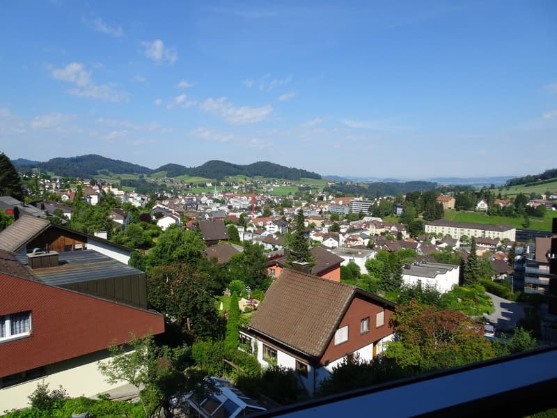View of a town with multiple houses, green hills, and a clear blue sky