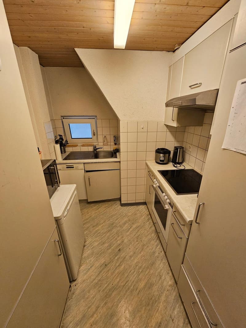 small kitchen, gas stove, sink, dishwasher, refrigerator