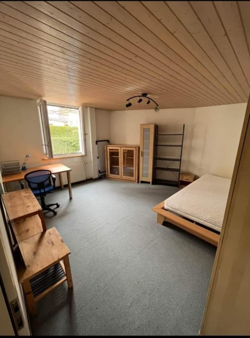 room, wooden desk, wooden shelves, wooden chair, single bed, radiator