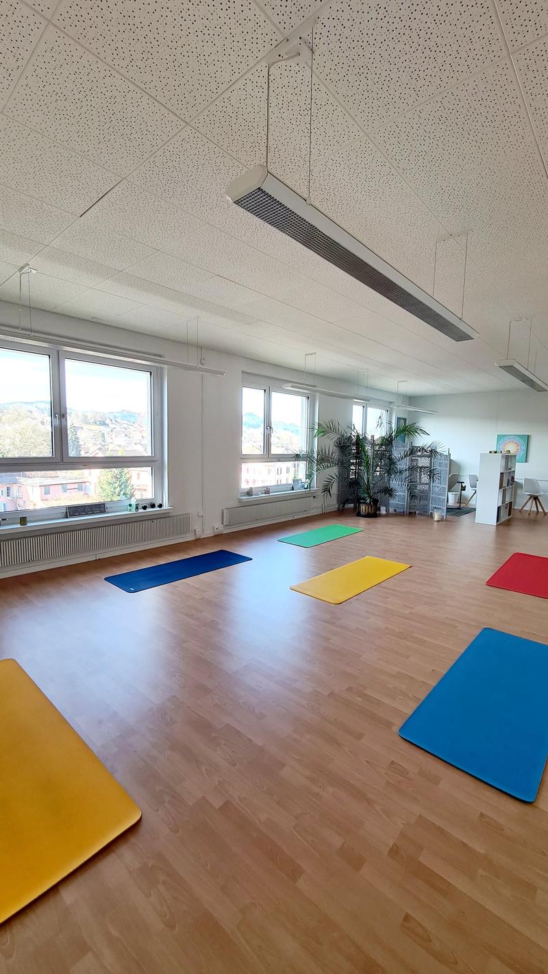 wooden floor, large windows, yoga mats, suspended lights, plants