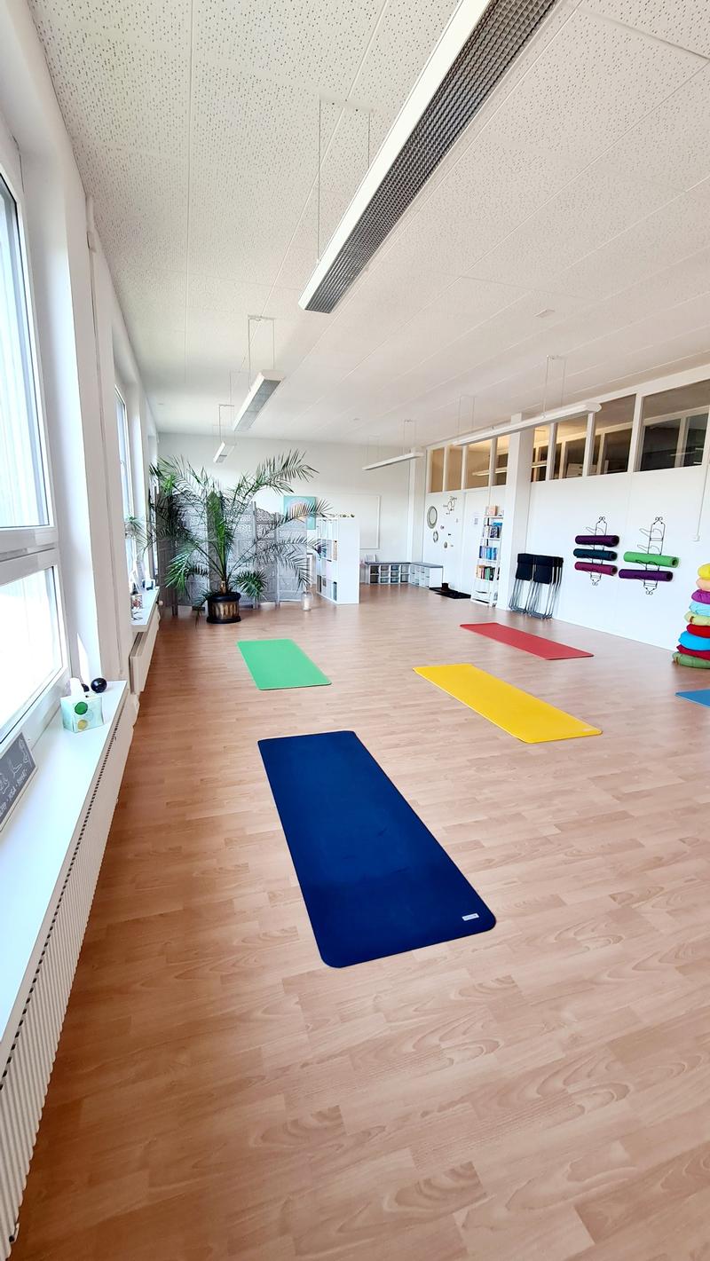 a yoga studio with wooden floor, yoga mats, large windows, plant and radiators