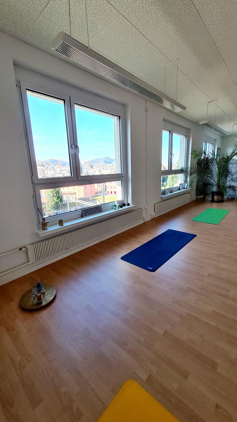 large windows, hardwood floors, yoga mats, plant on right side