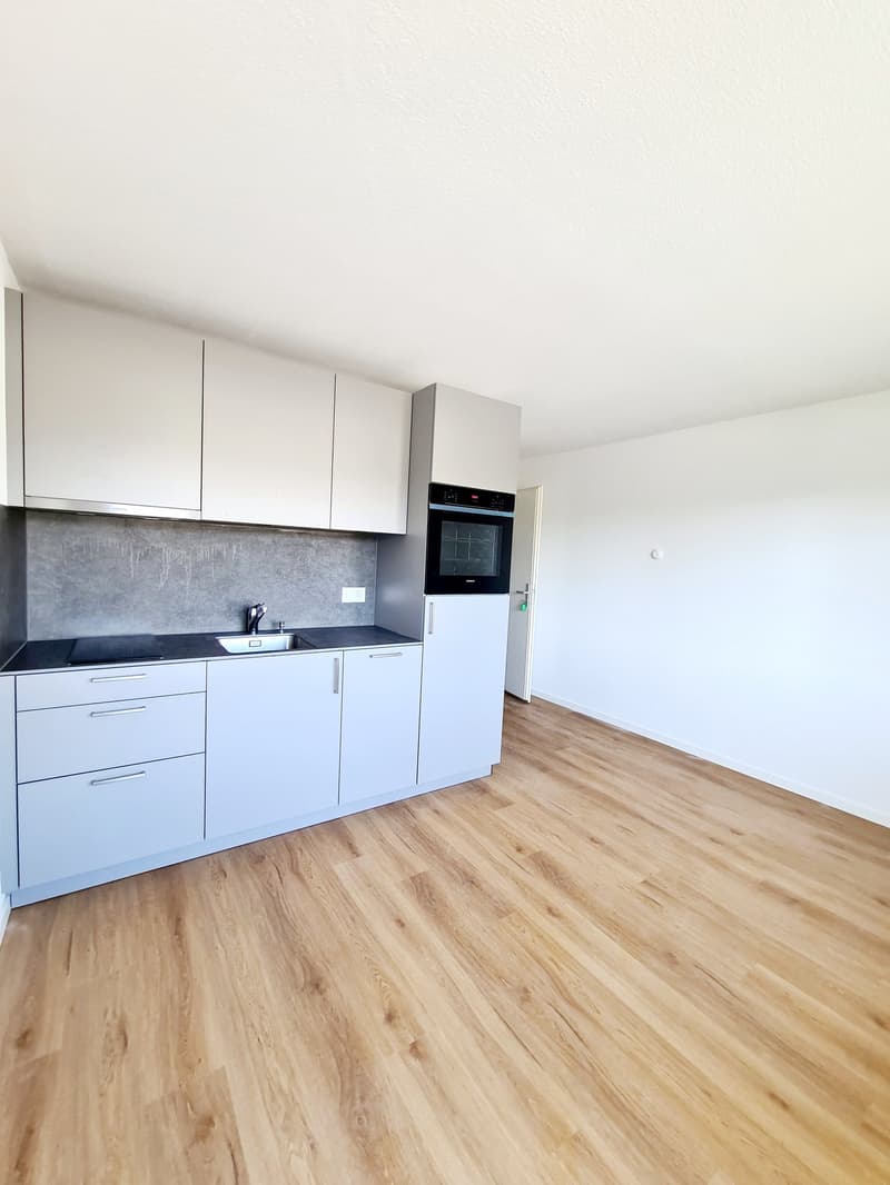 Modern kitchen with white cabinets, black countertop, built-in oven, and hardwood flooring
