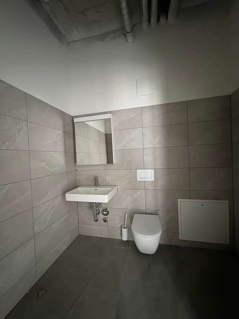 Bathroom with white sink, mirror, toilet, and gray tiles