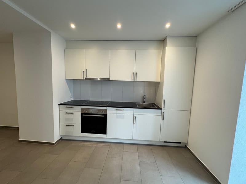 Moderne 1.5-Zimmer-Wohnung in St. Gallen (3)