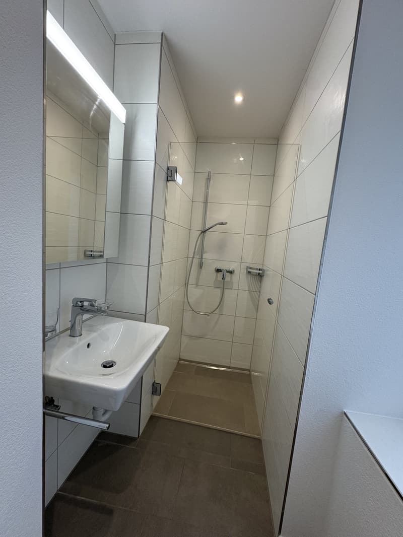 Moderne 1.5-Zimmer-Wohnung in St. Gallen (5)