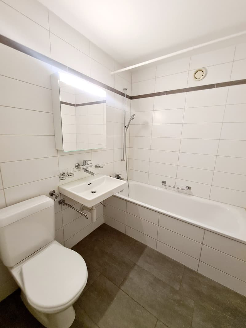 Grosszügige 3.5 Zi. Wohnung mit Balkon (8)