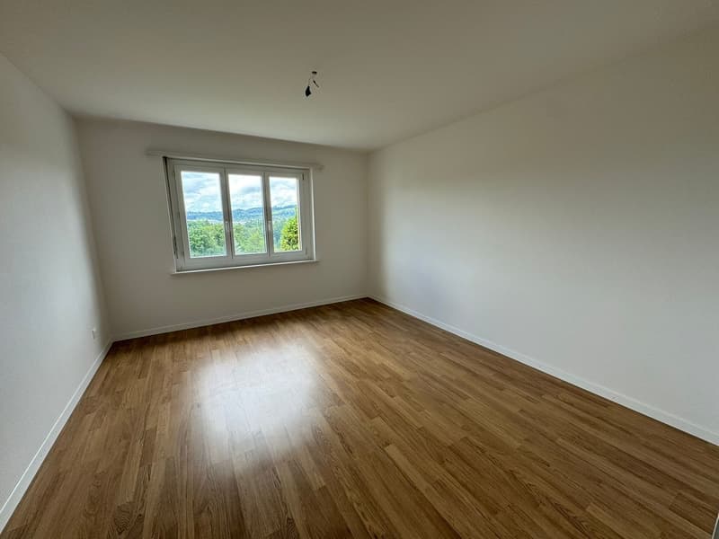 Zu vermieten grosszügige 4.5-Zi Wohnung (7)