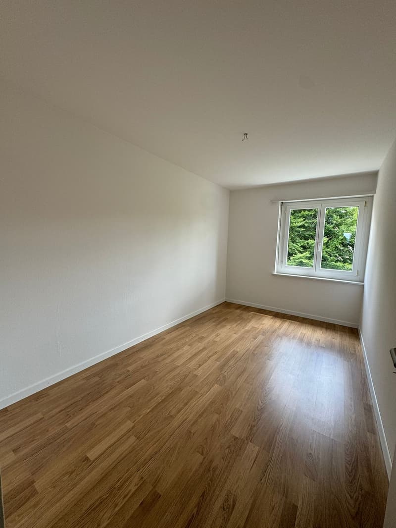 Zu vermieten grosszügige 4.5-Zi Wohnung (8)