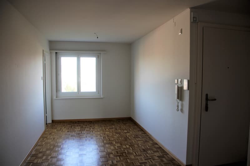 Zu vermieten grosszügige 4.5-Zi Wohnung (2)