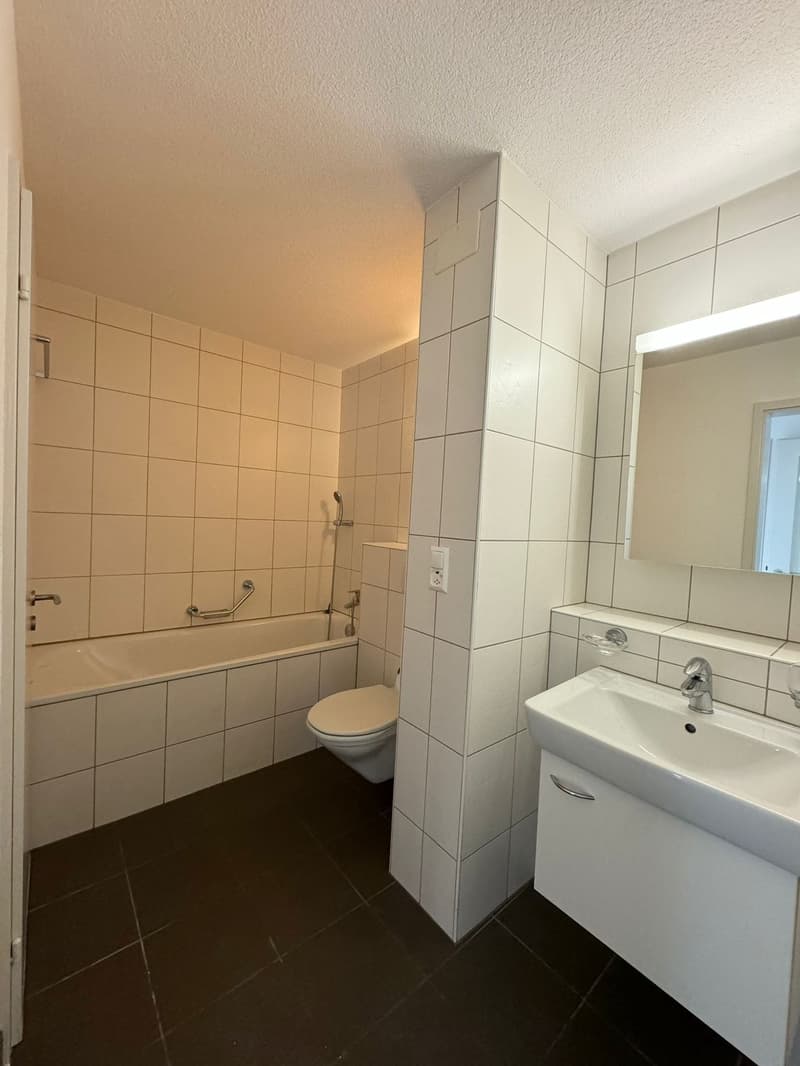 Zu vermieten grosszügige 4.5-Zi Wohnung (10)