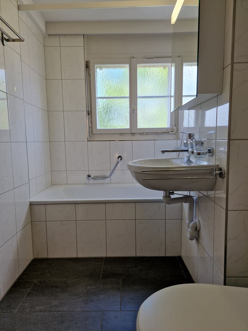 Attraktive 2.5-Zimmer-Wohnung in St.Gallen (7)