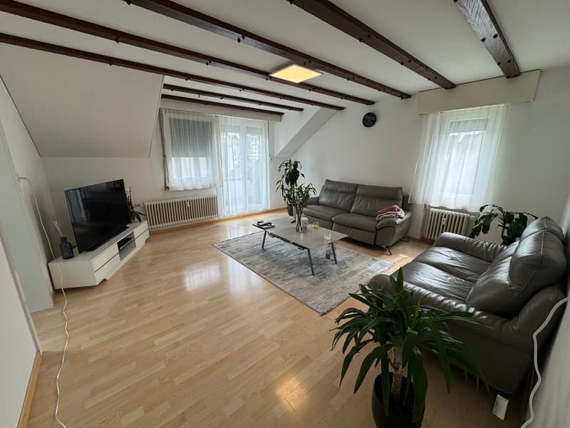 Helle, charmante Wohnung mit gemütlichem Wohnambiente (1)