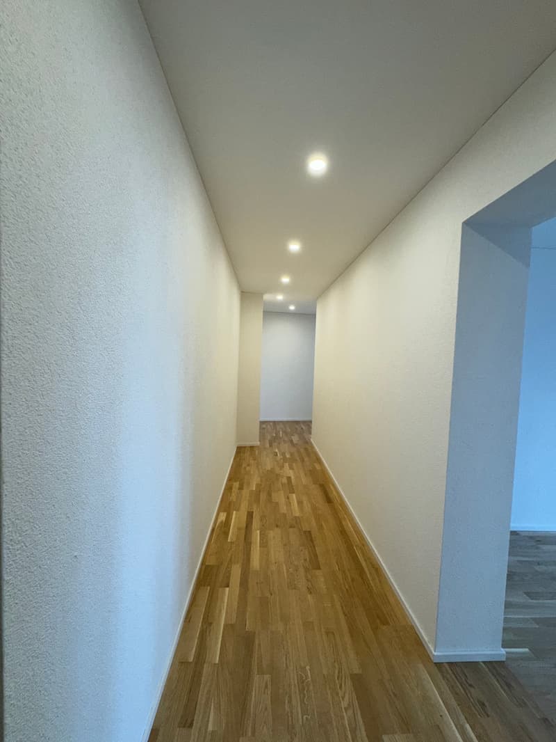 Moderne Wohnung an zentraler Lage zur Miete (4)