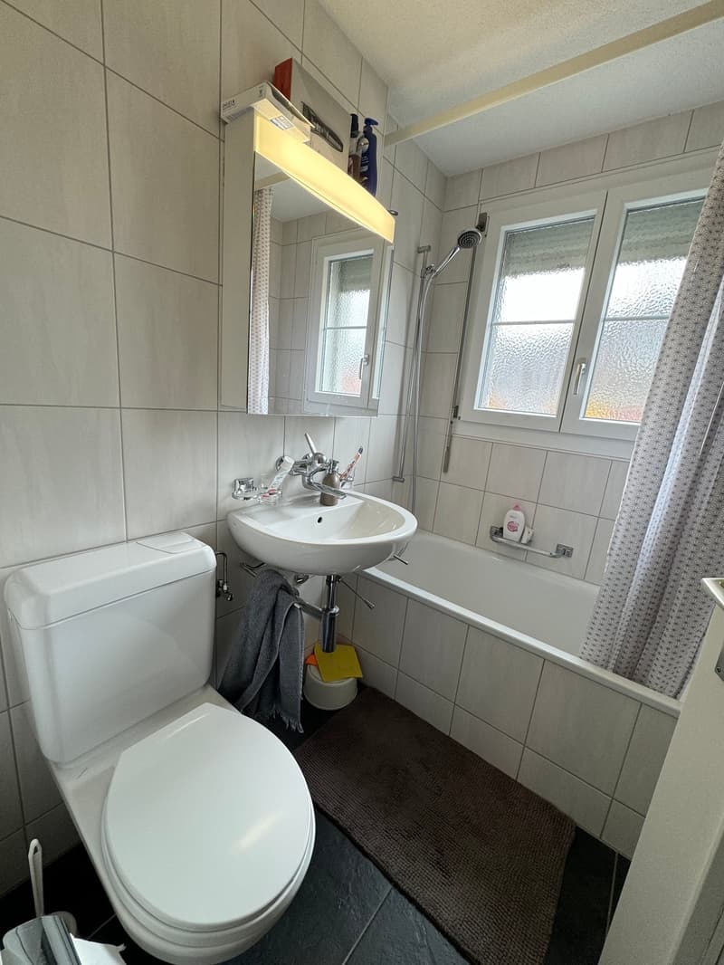 Charmante Wohnung in zentraler Lage (6)