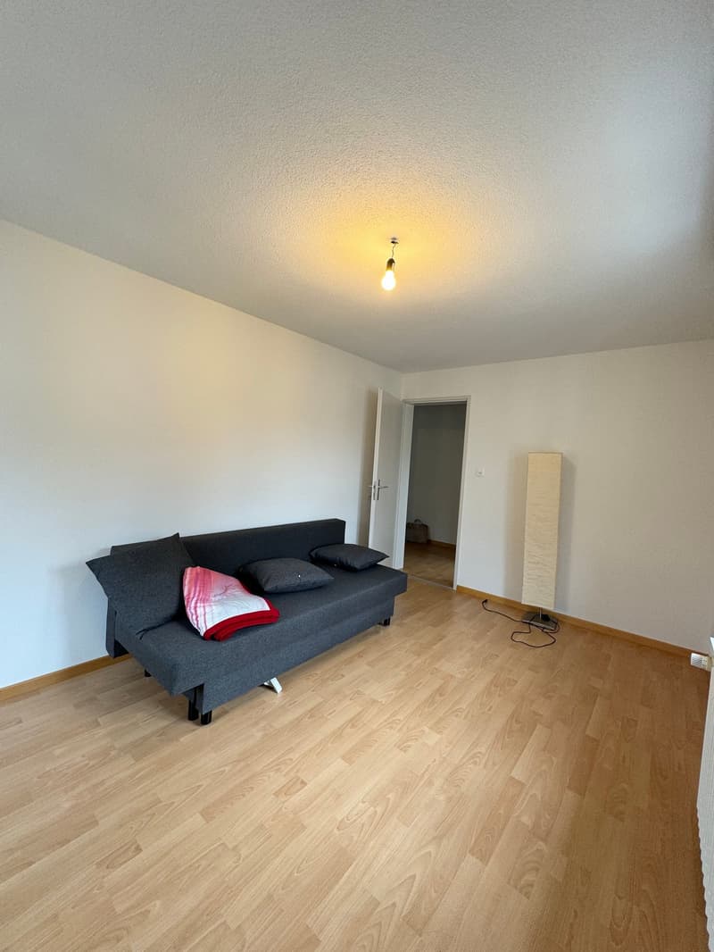 Charmante Wohnung in zentraler Lage (4)