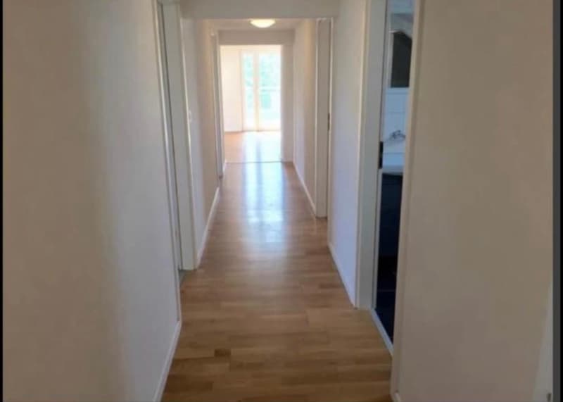 Charmante 4.5-Zimmer-Dachwohnung in Sommeri (2)
