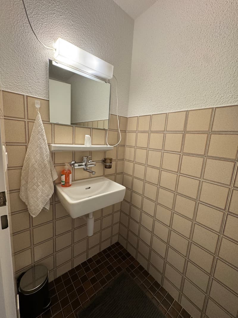 Charmante 4.5-Zimmer Wohnung mit Balkon (9)