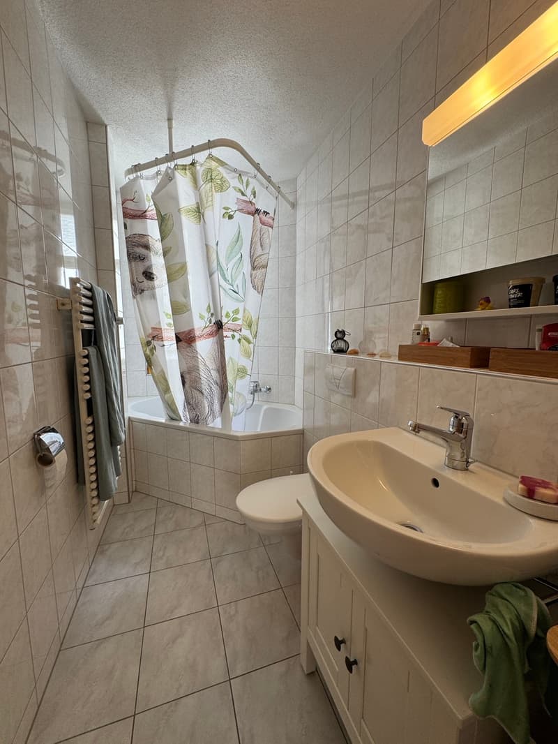 Helle 3-Zimmer-Wohnung mit Balkon in St. Gallen (7)