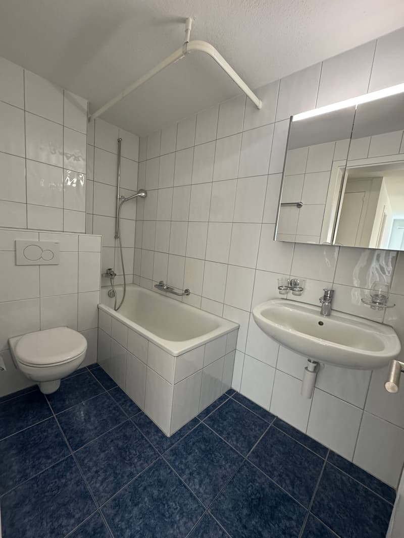 4 Zimmerwohnung mit Balkon an ruhiger Lage (8)