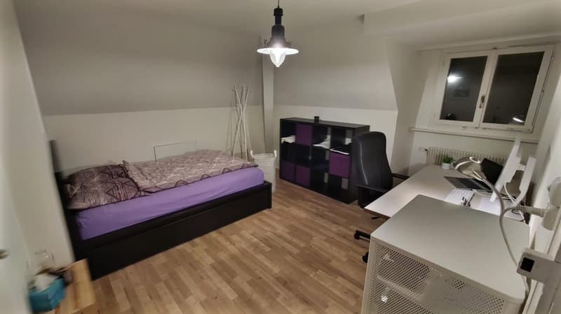 Attraktive 3-Zimmer Wohnung an zentraler Lage (1)