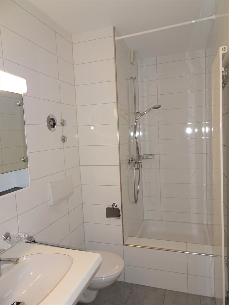 Helle 4.5-Zimmer-Wohnung mit Balkon (9)