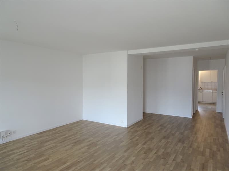 Helle 4.5-Zimmer-Wohnung mit Balkon (3)