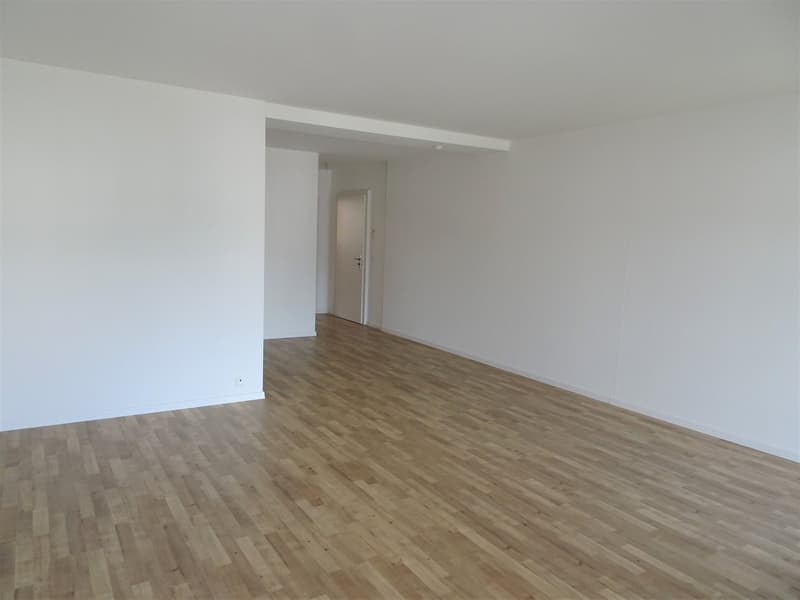 Helle 4.5-Zimmer-Wohnung mit Balkon (2)