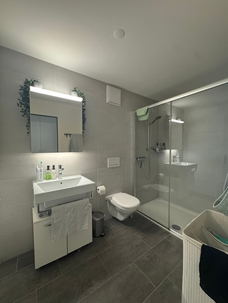 Moderne 2.5-Zimmer-Wohnung mit Balkon in Flawil (6)