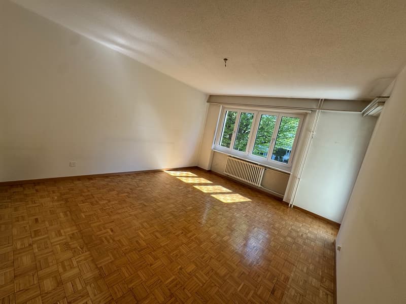 Gemütliche 3-Zimmer-Wohnung mit Balkon in St. Gallen (2)
