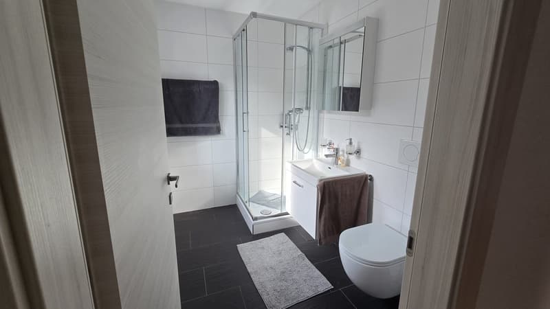 Gemütliches 1.5-Zimmer Wohnung in St. Gallen (3)